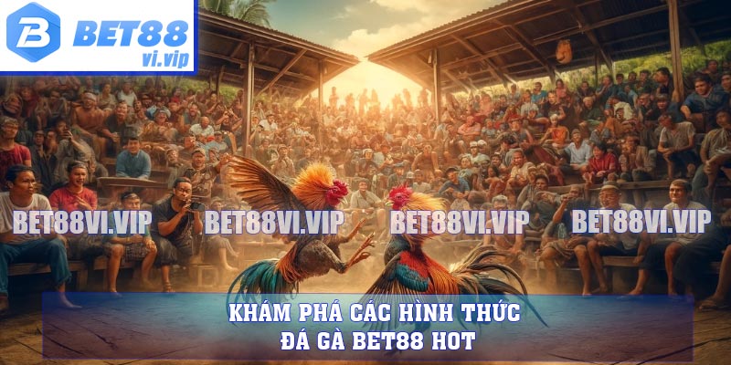 Khám phá các hình thức đá gà BET88 hot