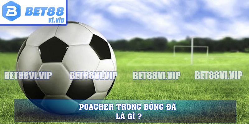 Poacher trong bóng đá là gì ?