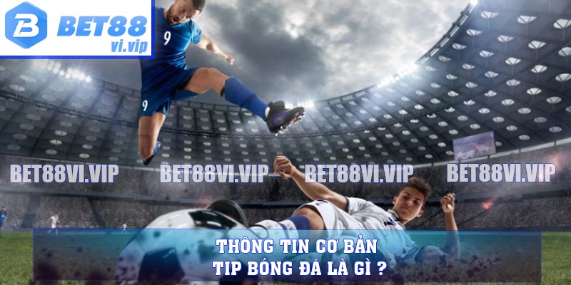 Thông tin cơ bản Tip bóng đá là gì ?