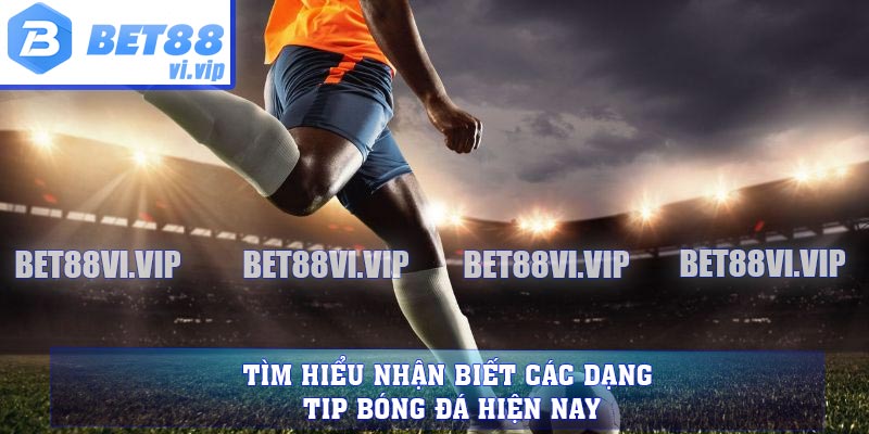 Tìm hiểu nhận biết các dạng Tip bóng đá hiện nay