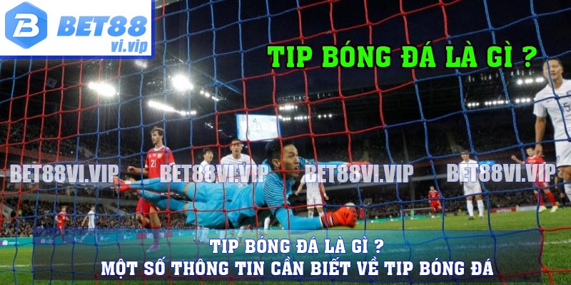 Tip Bóng Đá Là Gì ? Một Số Thông Tin Cần Biết Về Tip Bóng Đá